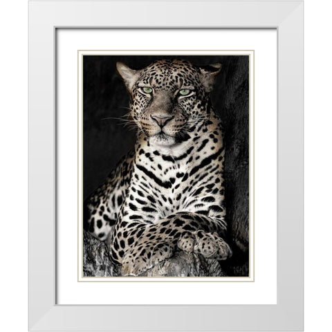African Leopard White Modern Wood Framed Art Print with Double Matting by Jaynes, William D.