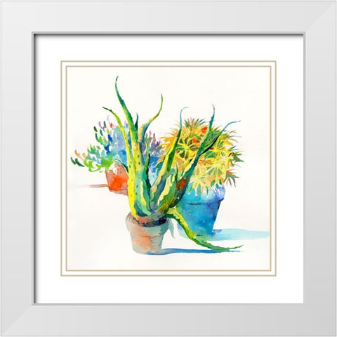 Succulent Trio I White Modern Wood Framed Art Print with Double Matting by Troise Heidel, Theresa