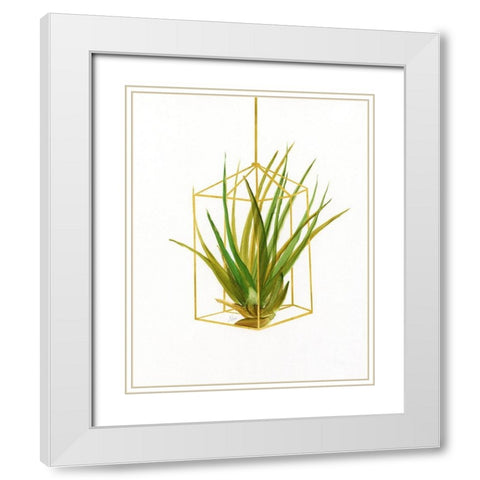 Hanging Airplant II White Modern Wood Framed Art Print with Double Matting by Nan