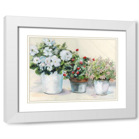 Cottage Display White Modern Wood Framed Art Print with Double Matting by Brooks, Donna