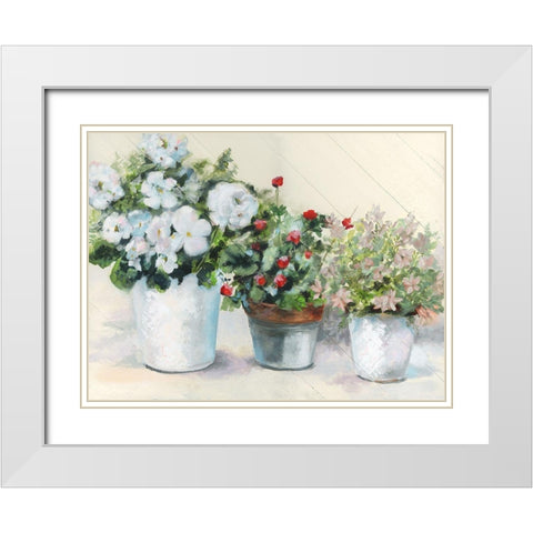 Cottage Display White Modern Wood Framed Art Print with Double Matting by Brooks, Donna