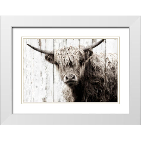 Highland Prize White Modern Wood Framed Art Print with Double Matting by Sturdevant, Jay