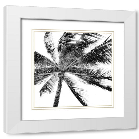 Tropic Breeze White Modern Wood Framed Art Print with Double Matting by Carpentieri, Natalie