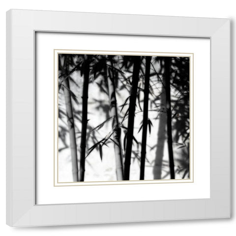 Bamboo Shadows White Modern Wood Framed Art Print with Double Matting by Delimont, Danita