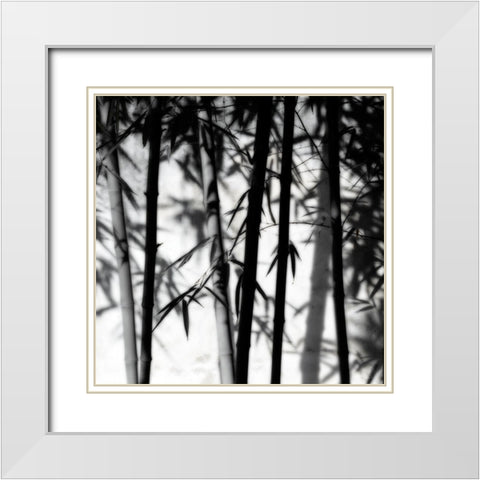 Bamboo Shadows White Modern Wood Framed Art Print with Double Matting by Delimont, Danita
