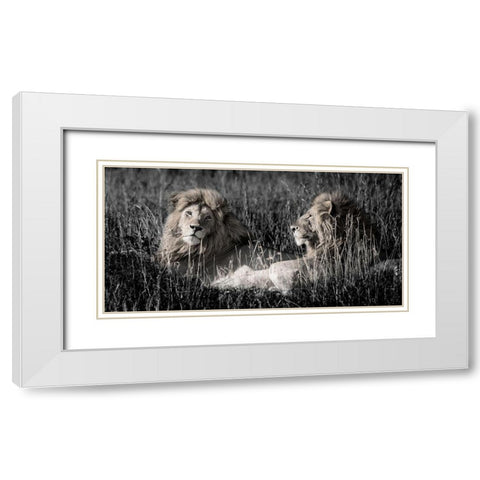 Mara Lions White Modern Wood Framed Art Print with Double Matting by Jones, Alison