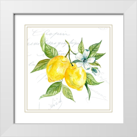 Lemon Squeeze I White Modern Wood Framed Art Print with Double Matting by Robinson, Carol
