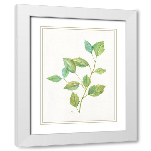 Spring Greens I White Modern Wood Framed Art Print with Double Matting by Nan