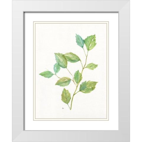 Spring Greens I White Modern Wood Framed Art Print with Double Matting by Nan