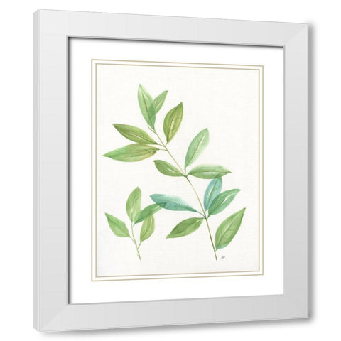 Spring Greens II White Modern Wood Framed Art Print with Double Matting by Nan