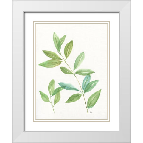 Spring Greens II White Modern Wood Framed Art Print with Double Matting by Nan