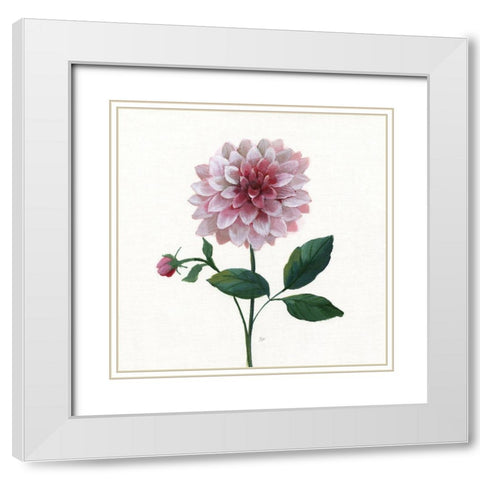 Simple Botanical IV White Modern Wood Framed Art Print with Double Matting by Nan