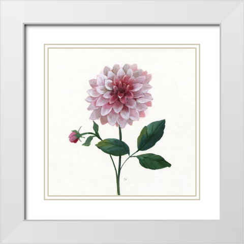 Simple Botanical IV White Modern Wood Framed Art Print with Double Matting by Nan