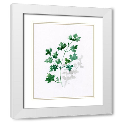 Freshly Picked I White Modern Wood Framed Art Print with Double Matting by Nan