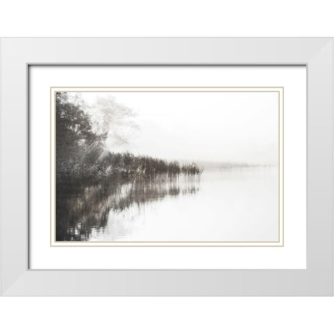 Taupe Misty White Modern Wood Framed Art Print with Double Matting by Weisz, Irene
