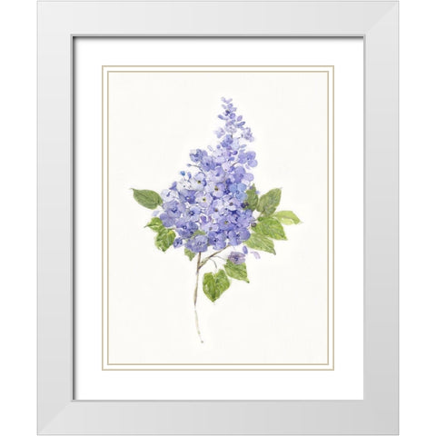 Dainty Botanical Lilac White Modern Wood Framed Art Print with Double Matting by Swatland, Sally