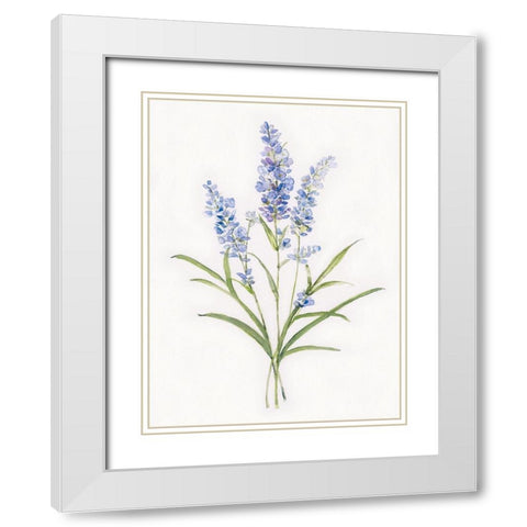 Dainty Botancial Lavender White Modern Wood Framed Art Print with Double Matting by Swatland, Sally