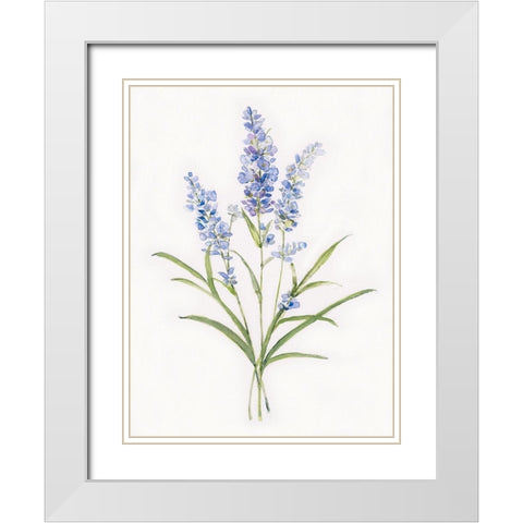 Dainty Botancial Lavender White Modern Wood Framed Art Print with Double Matting by Swatland, Sally