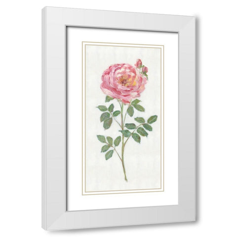 Single Stem I White Modern Wood Framed Art Print with Double Matting by Swatland, Sally