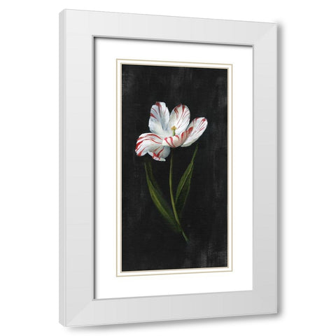 Master Botanical I White Modern Wood Framed Art Print with Double Matting by Nan