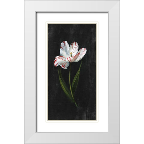 Master Botanical I White Modern Wood Framed Art Print with Double Matting by Nan