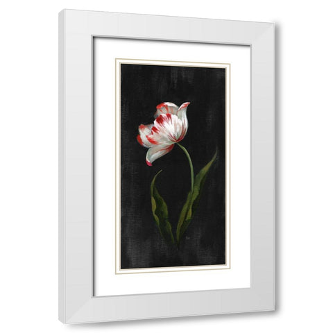 Master Botanical II White Modern Wood Framed Art Print with Double Matting by Nan