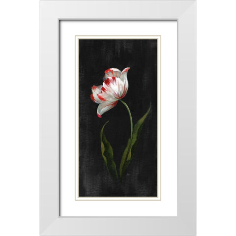 Master Botanical II White Modern Wood Framed Art Print with Double Matting by Nan