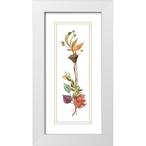 Autumn Botanical II White Modern Wood Framed Art Print with Double Matting by Robinson, Carol