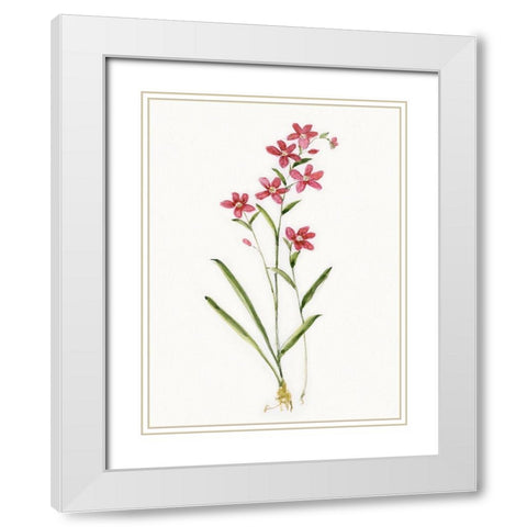 Delicate Pink I White Modern Wood Framed Art Print with Double Matting by Swatland, Sally