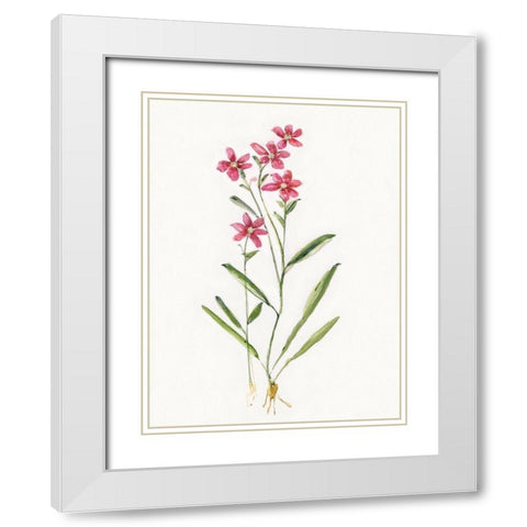 Delicate Pink II White Modern Wood Framed Art Print with Double Matting by Swatland, Sally