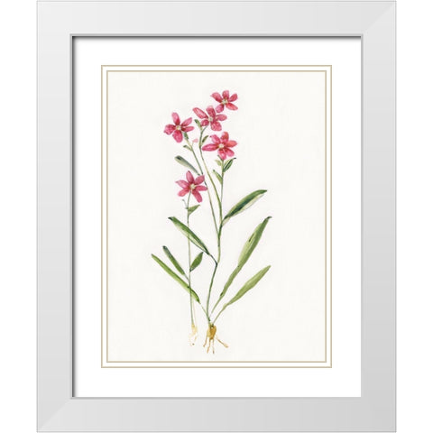 Delicate Pink II White Modern Wood Framed Art Print with Double Matting by Swatland, Sally