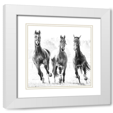 Running Herd White Modern Wood Framed Art Print with Double Matting by Van de Goor, Lars
