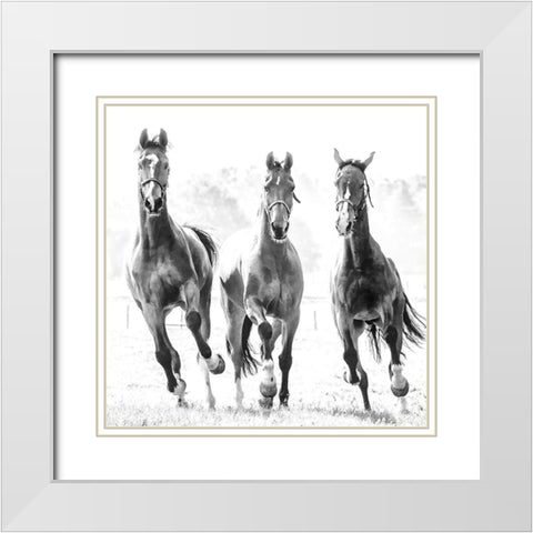 Running Herd White Modern Wood Framed Art Print with Double Matting by Van de Goor, Lars