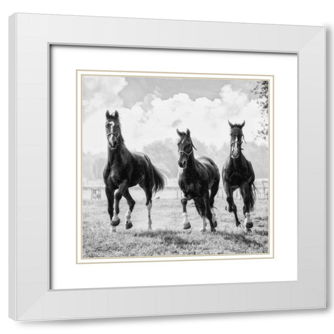 Three of a Kind White Modern Wood Framed Art Print with Double Matting by Van de Goor, Lars