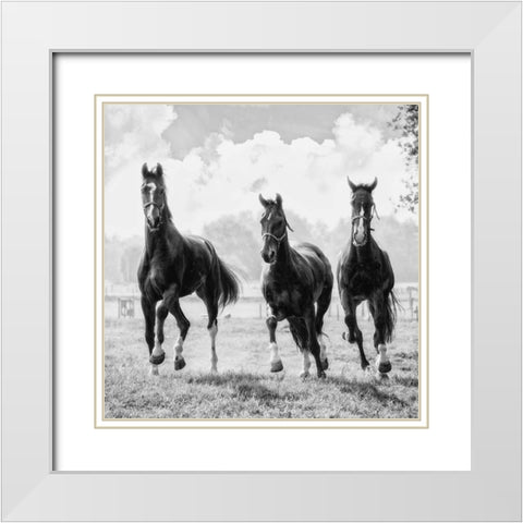 Three of a Kind White Modern Wood Framed Art Print with Double Matting by Van de Goor, Lars