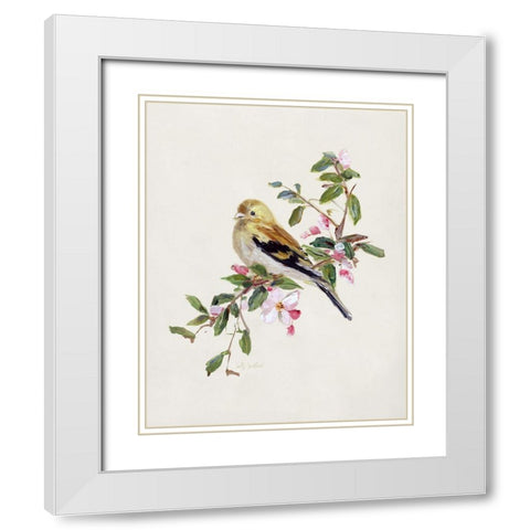 Spring Song Pine Grosbeak White Modern Wood Framed Art Print with Double Matting by Swatland, Sally