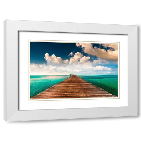Tropic Blues White Modern Wood Framed Art Print with Double Matting by Calascibetta, Mike