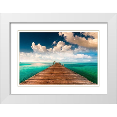 Tropic Blues White Modern Wood Framed Art Print with Double Matting by Calascibetta, Mike