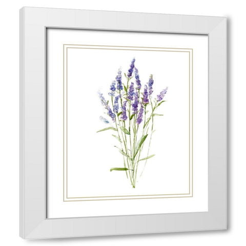Sweet Lavender II White Modern Wood Framed Art Print with Double Matting by Swatland, Sally