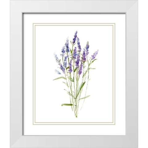 Sweet Lavender II White Modern Wood Framed Art Print with Double Matting by Swatland, Sally