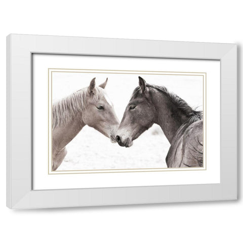 Gentle Herd White Modern Wood Framed Art Print with Double Matting by Jaynes, William D.