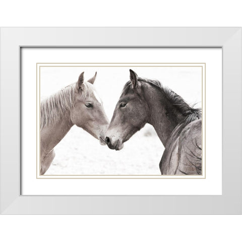 Gentle Herd White Modern Wood Framed Art Print with Double Matting by Jaynes, William D.