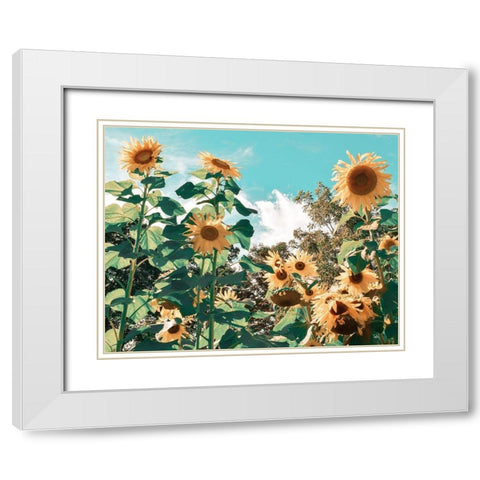 Sunflower Field White Modern Wood Framed Art Print with Double Matting by Carpentieri, Natalie