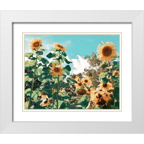 Sunflower Field White Modern Wood Framed Art Print with Double Matting by Carpentieri, Natalie