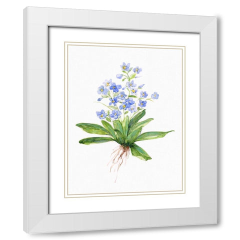 Garden Botanical I White Modern Wood Framed Art Print with Double Matting by Swatland, Sally