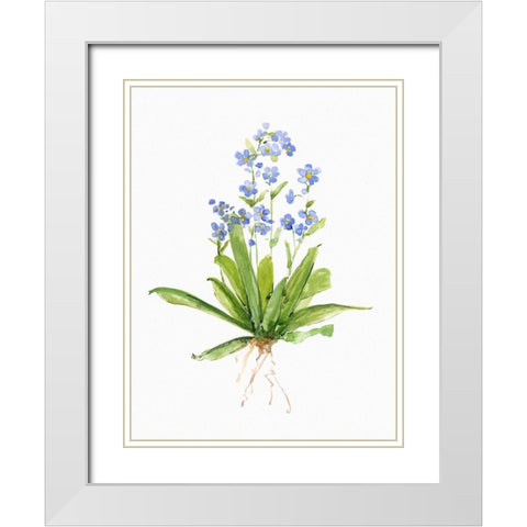 Garden Botanical II White Modern Wood Framed Art Print with Double Matting by Swatland, Sally