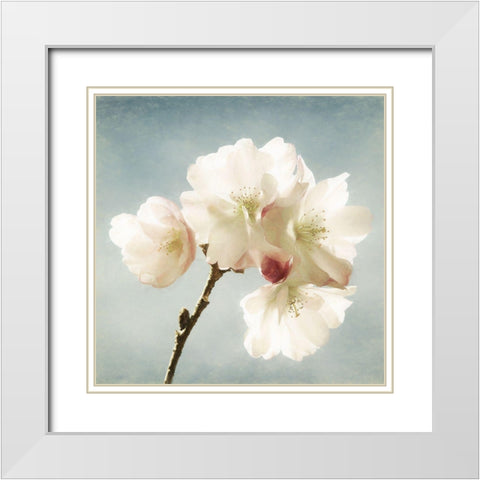 Happy Spring White Modern Wood Framed Art Print with Double Matting by Van de Goor, Lars
