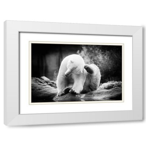 Scratching White Modern Wood Framed Art Print with Double Matting by Van de Goor, Lars