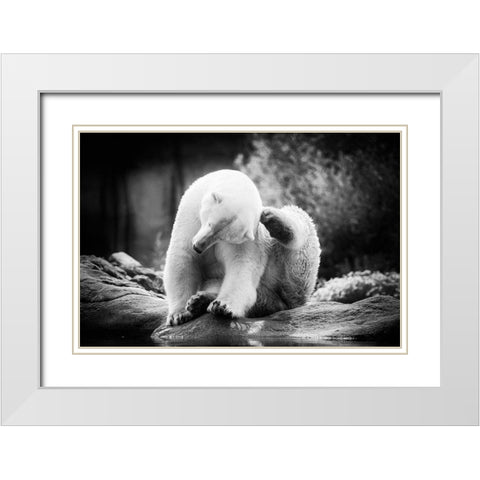 Scratching White Modern Wood Framed Art Print with Double Matting by Van de Goor, Lars