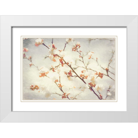 Springly White Modern Wood Framed Art Print with Double Matting by Van de Goor, Lars